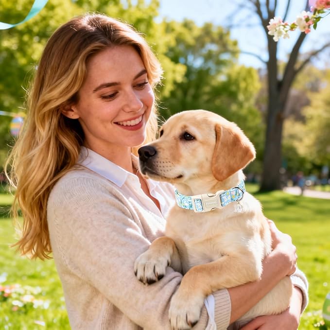 DOGWONG Easter Dog Collar-Cute Easter Rabbit Bunnies Egg Dog Collar, Adjustable Soft Easter Dog Collar for Medium Large Dogs, XL