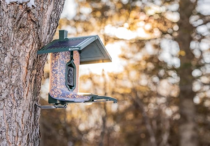 Smart Bird Feeder with AI Identification & HD Camera – Solar-Powered Wi-Fi Feeder Sends Photos & Videos to Your Phone – Includes Pole Mount, Bird Seed, 32GB SD Card, & Cleaning Cloth