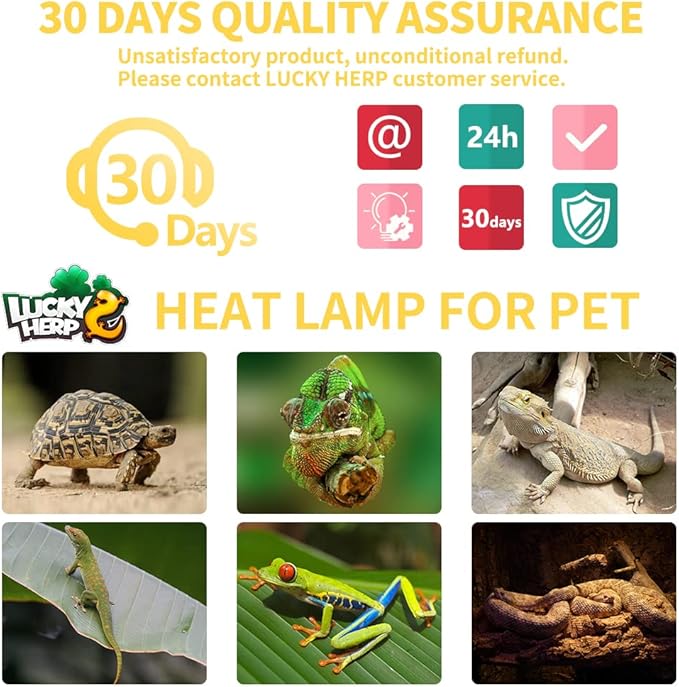 LUCKY HERP New Upgrade 3 Pack 100W Reptile Heat Lamp Bulb (3nd Gen, Safer), Amphibian UVA Heat Light Bulb, Reptile Basking Daylight Spot Lamp Bulb for Bearded Dragon, Lizard, Tortoise Heating Use