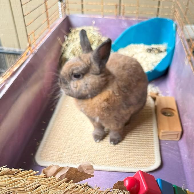 PODOO Bunny Scratch Pads, Sisal Rabbit Scratching Pad, Natural Rabbit Resting Mats for Cages, Forage Grass Mat Indoor Essentials Accessories for Guinea Pig Cat (3Pcs, 15.7x11.8 inches)