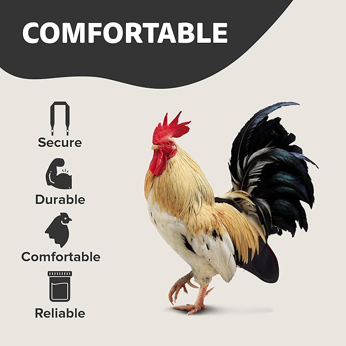 Hen Holster Bird Diaper, Wrap Around - for Hens, Roosters, Ducks, Leak-Proof Design, Comfortable Fleece Strap Bird Harness with Sewn-in Liner, Secure Hook and Loop Closure - Large, Black