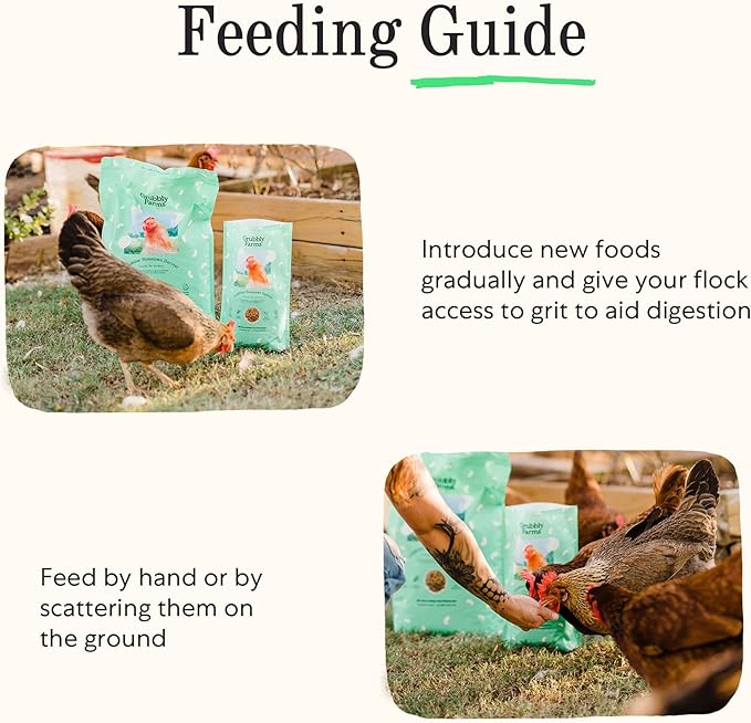 Grubbly Farms Grubblies - Black Soldier Fly Larvae for Chickens - Chicken Treats Grown in The US and Canada - for Strong Eggshells and Healthy Feathers - Grubblies Hometown Harvest 1LB