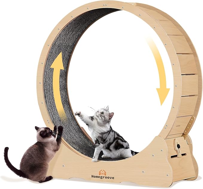 Homegroove Cat Wheel,52 inch XXL Large Cat Wheels for Indoor Cats with Carpeted Runway, Cat Exercise Wheel Treadmill for Kitty’s Longer Life (XXL, Natural Wood)