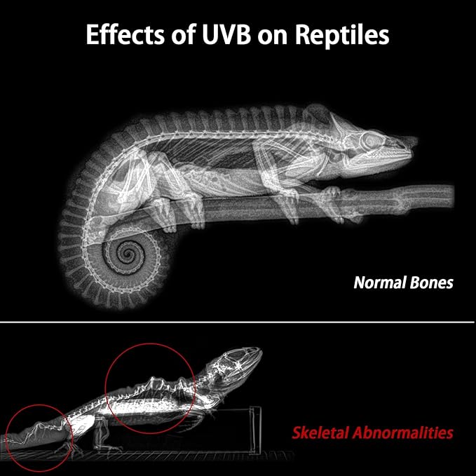 39-INCH LED UVB Light for Reptiles, LED Reptile Light Fixture Controller with Dimming and 4 UVI Modes, 27W Aluminum UVA UVB Lamp for Turtles, Snakes, and Bearded Dragons, 6500K