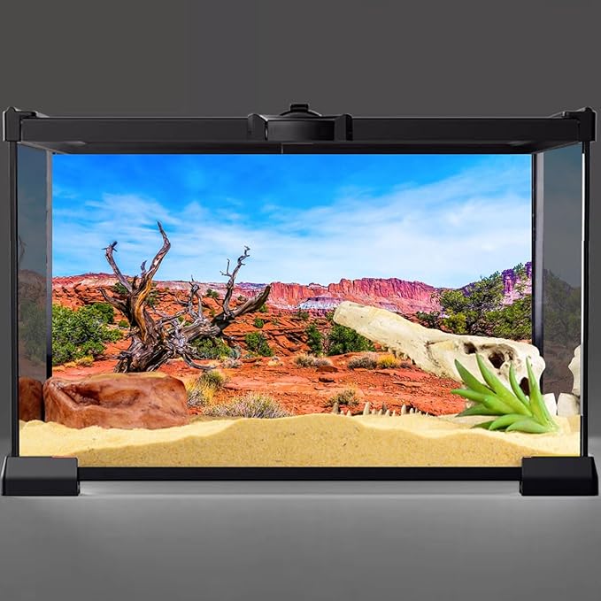 AWERT 48x18 inches Reptile Habitat Background Blue Sky Oasis Orange Desert Terrarium Background Durable Polyester Background