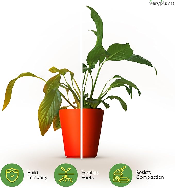 Molly's Aroid Mix - Premium Soilless Potting Mix for Houseplants - Fast Draining, Chunky & Easier to Water vs. Soil for Indoor Plants - with Bark, Coco Chips, Worm Castings, Mycorrhizae 10 Dry Quarts