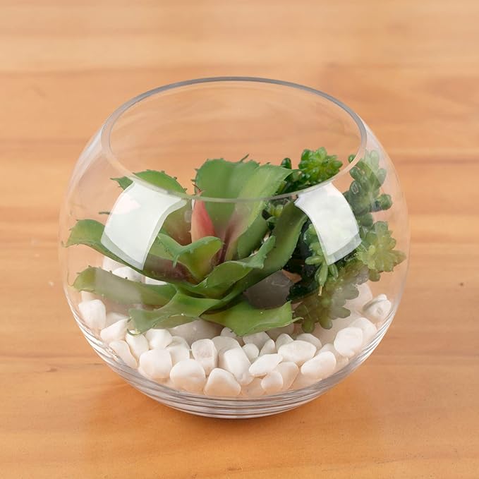 WGV Bowl Glass Vase Bulk, Diameter 8", Height 6.5", Open Width 3.75", (Multiple Sizes Choices) Clear Bubble Planter Terrarium Fish Bowl for Wedding Event Home Decor, 6 Pieces (VBW0008)