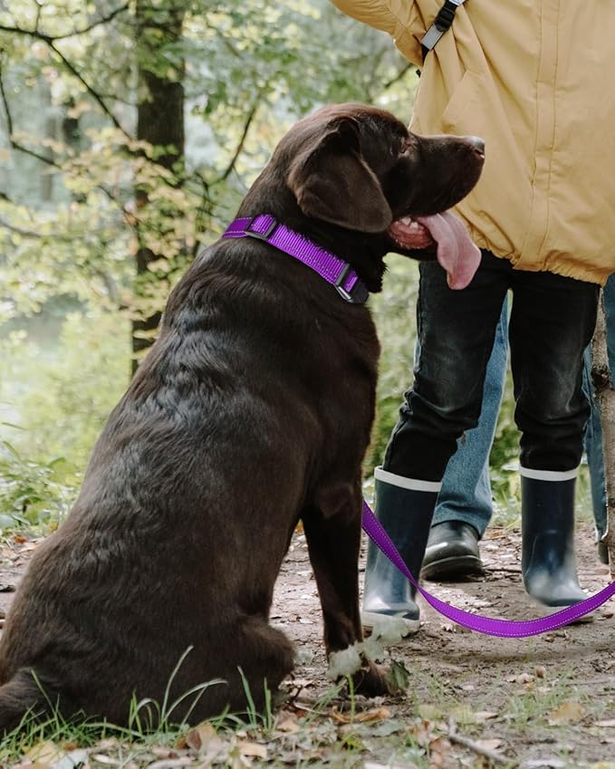 TagME Reflective Nylon Dog Collars, Adjustable Classic Pet Collar with Quick Release Buckle for Extra Large Dogs, Purple, 1¼" Width