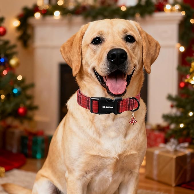 DOGWONG Christmas Plaid Dog Collar, Cute Adjustable Red Tartan Collar, Red Grid Dog Collar with Strong Plastic Buckle for Small Medium Large Dogs,L