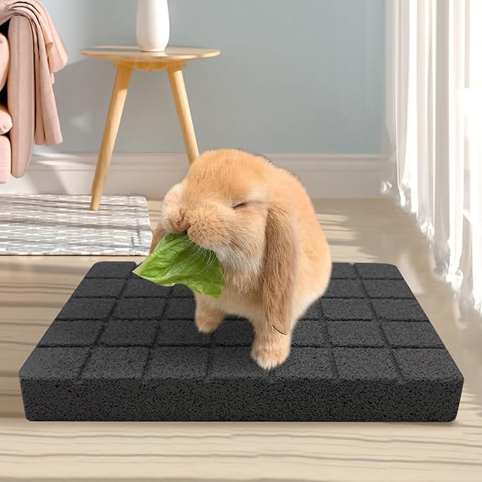 Hamiledyi Rabbit Scratch Foot Pads Bunny Grinding Claw Pad 4 PCS Small Animal Lava Grinding Teeth Stone Hamster Grinding Teeth Block for Guinea Pig Rat Gerbil Chinchilla Hedgehog