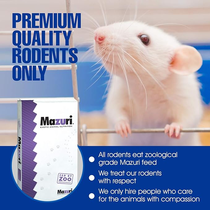 MiceDirect EST. 2003 125 Frozen Mice Small Fuzzie Feeders Snake Food for Juvenile Hognose Corn Milk (.5-1 in) (375 Grams Min)