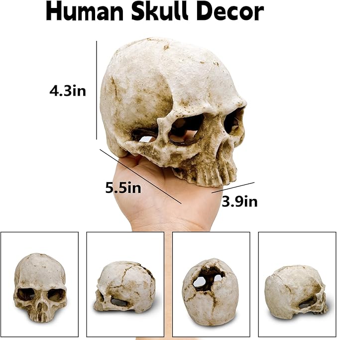 Tfwadmx Human and Crocodile Skull Decor, Snake Hide, Tarantula Enclosure Accessories, Resin Skull Reptile Terrarium Tank Decor for Geckos, Lizards, Spiders