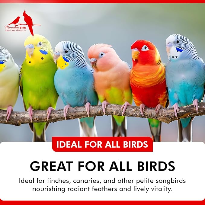 Morning Bird Feather Glo 8 Oz – Palm Oil Supplement for Birds – Supports Pet Skin Treatment Spray, Feather Shine & Immune Health – Vitamin, Mineral & Energy Support for All Bird Types