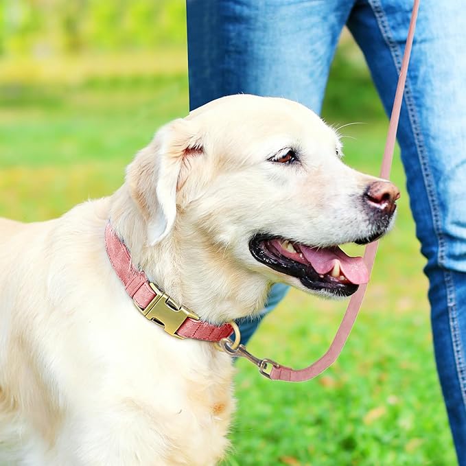 Genuine Leather Dog Collar - Adjustable Pet Collar with Quick Release Metal Buckle, Soft Skin Friendly Real Leather Collar for Small, Medium, Large Dogs (Pink Collar + Rope, M：Fit 12-20" Neck)