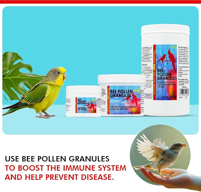 Morning Bird Bee Pollen Granules 3 Oz – Naturally Immune Support & Protein Powder for Birds – Boosts Strength, Feather Health & Energy Supplements – Easy to Mix with Food for All Bird Types