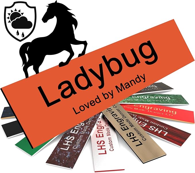 Horse Stall Name Plate, 2x6 Personalized Stall Signs, UV Protected, All Weather Adhesive, Hanging, Mounting or Other, Orange Plastic with Black Letters - Made in USA - B11
