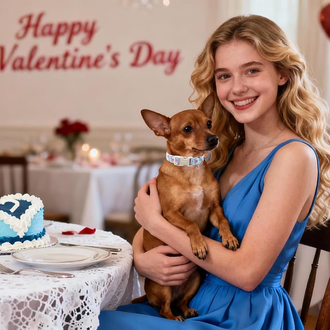 DOGWONG Blue Heart Dog Collar, Cute Valentine Collar, Valentine's Day Dog Collar with Strong Plastic Buckle for Small Medium Large Dogs,L