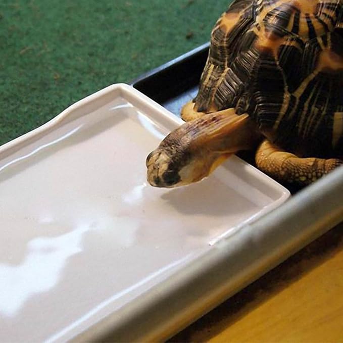 OMEM Reptile Bowl Large Food and Water Dish Enough Space Also Fit for Bath Simulated Wood Grain Surface (L, White)