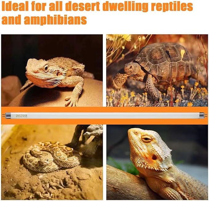 T5 10.0 UVB Reptile Light Bulb 22 inch, Desert Reptile UVB Bulb 24W, for Lizards, Bearded Dragons, Chameleons