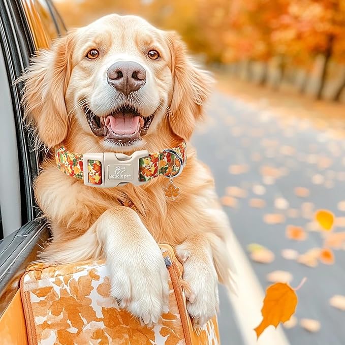 Fall Dog Collar Cute Autumn Leaves Puppy Collar - Light Comfortable Adjustable Pet Collars for Small Medium Large Girl Boy Dogs L