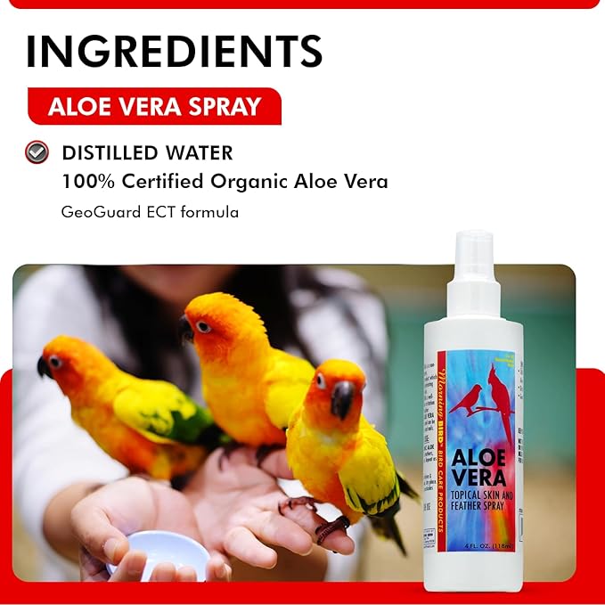 Morning Bird Aloe Vera Spray – Natural Cleaner Spray for All Birds – Soothes Dry Skin & Supports Healthy Skin – Easy-to-Use Spray Bottle for Gentle Hydration & Skin Relief 4 Fl Oz