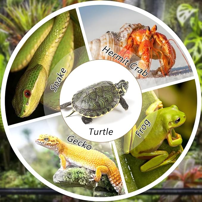 Extra Large Reptile Habitat Turtle Bathing Pool Reptile Food Dish Water Bowl with Slope Terrarium Decoration for Turtle Horned Frog Lizard Gecko Snake