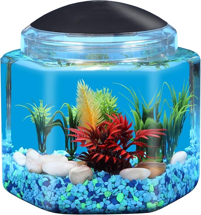 Koller Products 1 Gallon Hex BettaTank - LED Lighting