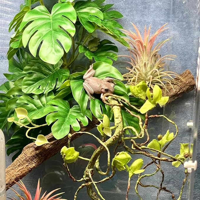 Woyrise Reptile Plants, Terrarium Hanging Plant Vines, Artificial Leaves with Suction Cup, Bearded Dragon Tank Accessories for Gecko Lizard Snake Frog Tortoise Decorations - Monstera