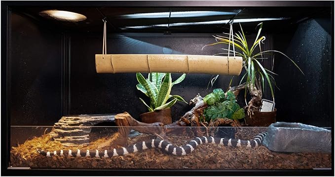 Zen Habitats 4'x2'x2' Reptile Enclosure - The 3.0