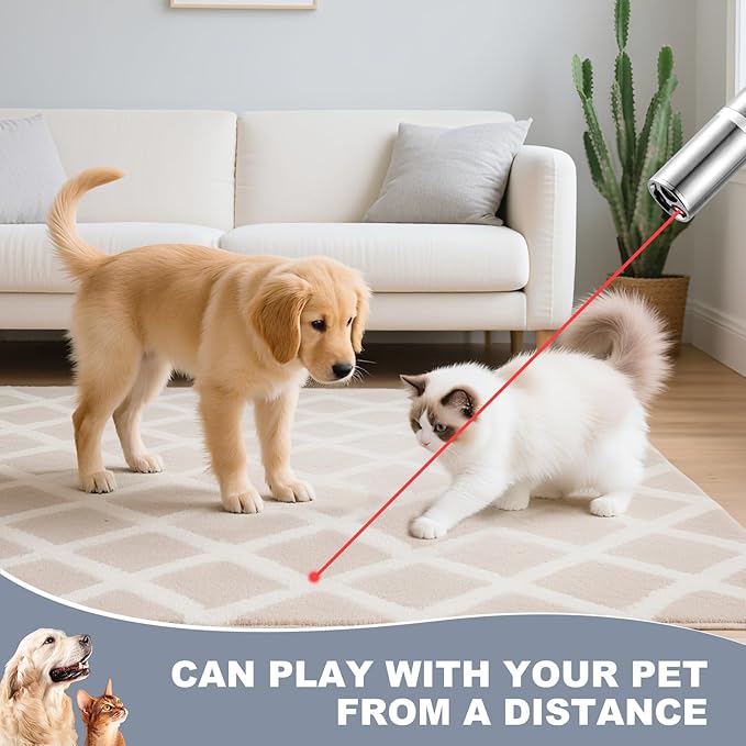 Bird Toy，Bird Laser Pointer, Cat Toys, Cat Laser Toy Pointer with 5 Adjustable Patterns, Dog Laser Toy, USB Recharge Laser, Long Range and 3 Modes Training Chaser Interactive Toy
