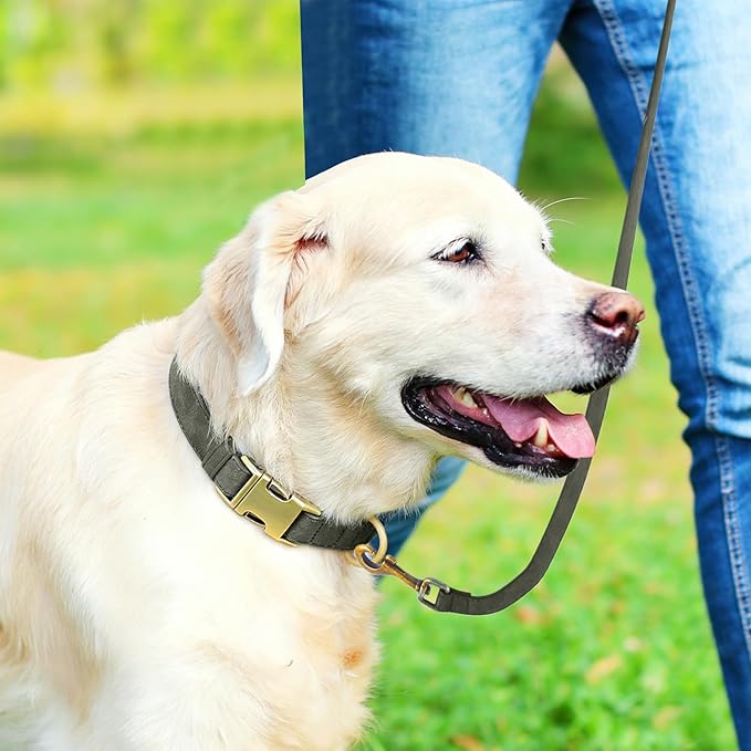 Genuine Leather Dog Collar - Adjustable Pet Collar with Quick Release Metal Buckle, Soft Skin Friendly Real Leather Collar for Small, Medium, Large Dogs (Dark Green, M：Fit 12-20" Neck)