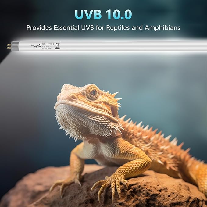 T5 UVB Reptile Light 24W 10.0 + UVA Light Bulb for Reptiles, 2-Pack Lamp Tube for Bearded Dragon, Desert-Grade Reptile UVB lamp Fixture