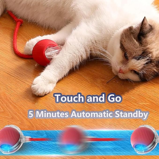 Interactive Cat Toys for Indoor Cats, Agility Move Cat Balls,Motion Activated Cat Balls, Cat Toys for Bored Indoor Cats (Yellow)