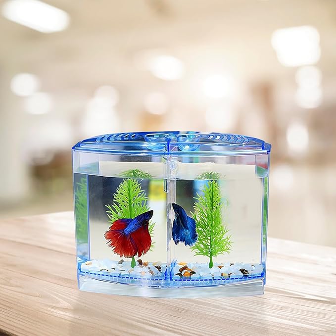 Mipcase Small Betta Fish Tank Mini Goldfish Tank with Divider Acrylic Small Aquarium for Shrimp Beta Fish