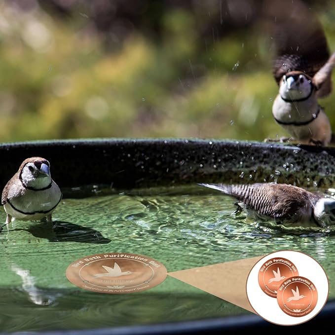 4Pcs Pure Copper Bird Bath Purification Disk,0.6mm thick,4''Reinforced Copper Purification Cleaner with Four-Point Support,All-Season Safe Clean Water Solution,Universal Fit for Outdoor Birdbath&Bowl