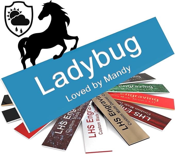 Personalized Horse Stall Name Plates, 2x8 Horse Stall Signs with Adhesive, All Weather UV Protected, Light Blue Plastic White Letters - Made in USA - B1