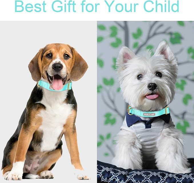 Nylon Dog Collar - Adjustable Lake Blue Soft Webbing Dog Collars for Small Medium Large Dogs Boy Girl Puppy Collar with Safety Metal Buckle XL