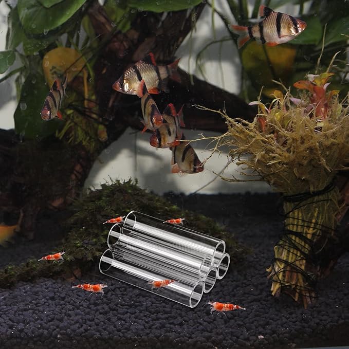 WEAVERBIRD 5-Tube Fish Shrimp Feeder Breeding Pipe, Aquarium Tank Shelter, Acrylic Transparent Decorations