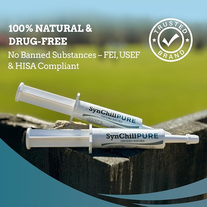 SynNutra Equine SynChill Pure 12-Pack – Non-Sedative Disposition Support for Horses – Plant-Based, L-Theanine-Free Formula for Calm, Confident Performance – 100% Natural & Competition Safe