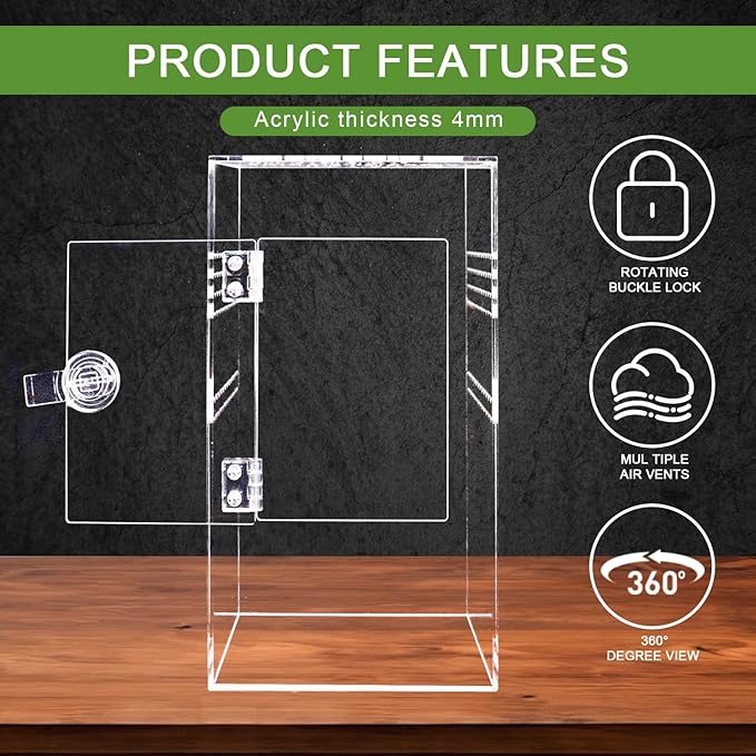 Spider Terrarium Kit, Jumping Spider Enclosure with Hideout, Rope Bridge, Ledge Ladder, Micro Habitat Terrarium for Small Tree Dwelling Reptiles, Arboreal Tarantula Enclosure (6x6x12 Inches)