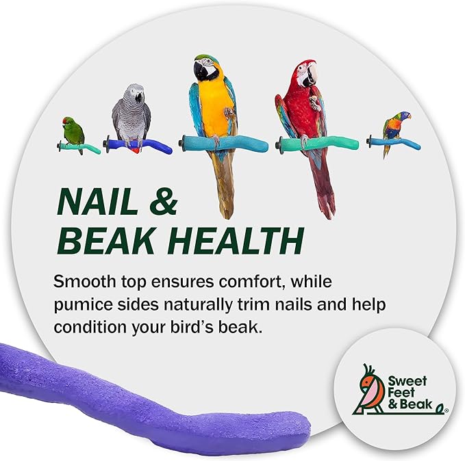 Sweet Feet & Beak Safety Pumice Bird Perch, X-Small 1/2" X 6", Green - Lightweight Grinding Bird Perches for Cage - Bird Nail Trimming Perch for Healthy Beak & Feet - Multi-Size & Color Parrot Stand