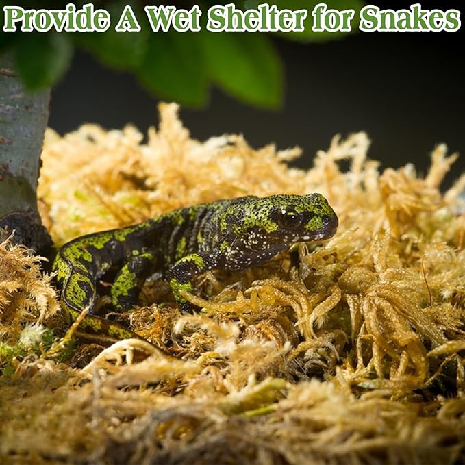 Halatool 6OZ Natural Sphagnum Moss Substrate for Reptiles - Terrarium Bedding with 72H Moisture Retention, Safe for Bearded Dragons, Geckos & Snake Shedding