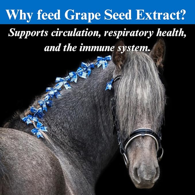 SU-PER Grape Seed Extract Horse Antioxidant - Equine Antioxidant Supplement for Performance Horses - Supports Circulation Respiratory Health & Immune System - 12.5 Pounds, 6 Month Supply