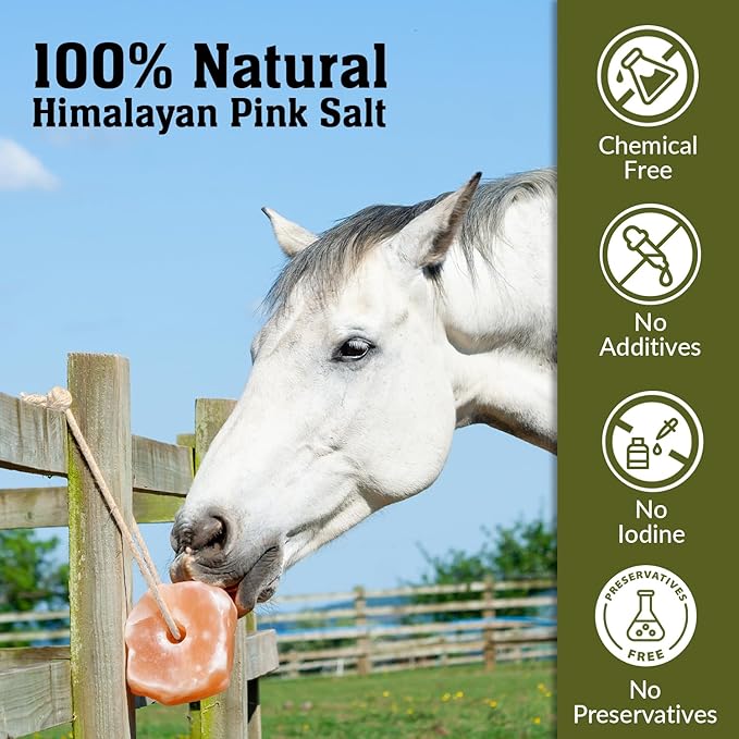 Salt Lick for All Animals – 100% Natural Pure Salt Rock for Horses, Rabbits, Cattle and Livestock – Long Lasting | Pack of 2