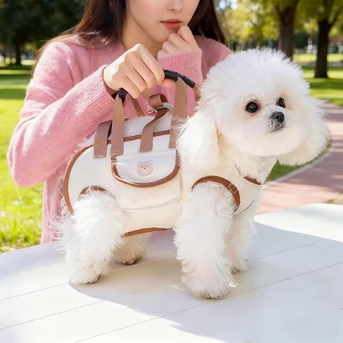 Portable Small Dog & Cat Pet Carrier Sling & Backpack for Small Dogs & Cats & Puppy, Dog & Pet Purse Bag Carrier Sling for Small Dogs with Dog Traction Leash, Crossbody Sling Carriers (Beige M)