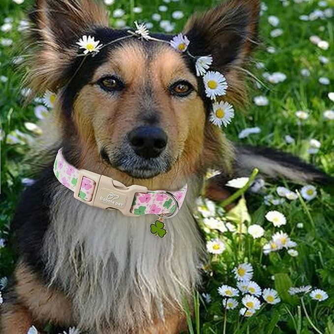 St Patricks Day Dog Collar for Small Dogs - Cute Light Pink Shamrock Girl Dog Collars, Adjustable Irish Clover Puppy Collar with Quick Release Buckle S