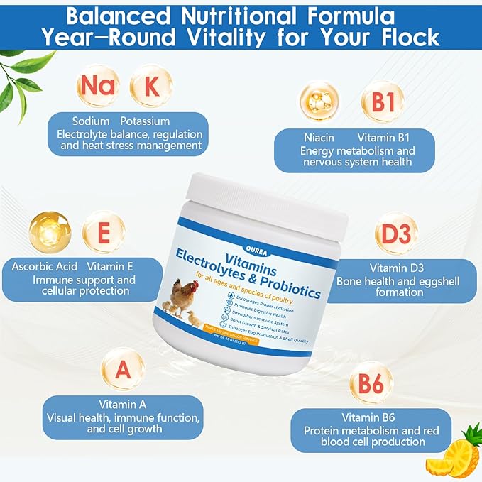 Chicken Vitamin, Electrolyte & Probiotic Supplement - Support Hydration Digestion Immunity Egg Production – Poultry Supplement for Chickens, Ducks, and All Ages of Birds – All-Season Use,10oz Powder