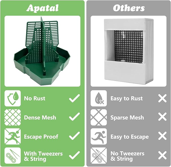 Chameleon Feeding Bowl Hanging Bearded Dragon Feeder Bug Bowls with Rope and Tweezers Mounted Insect Reptile Feeder Box for Lizard Gecko Frog (Green,Small)