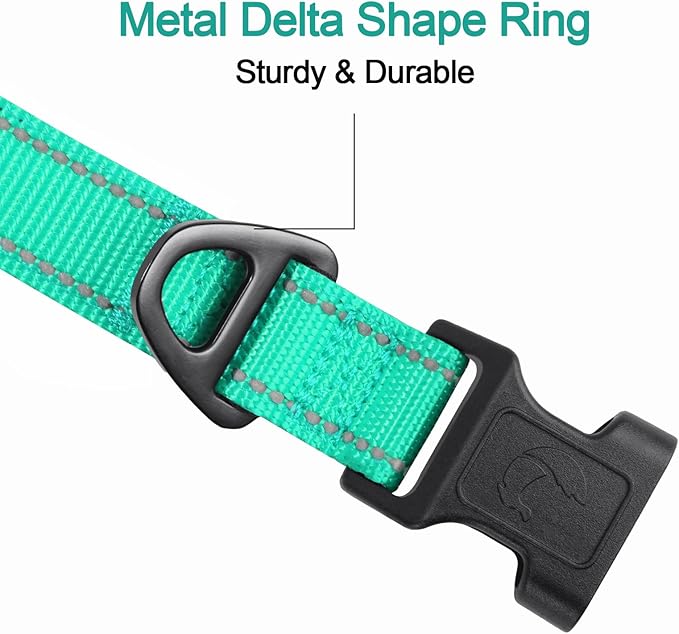 Joytale Reflective Dog Collar, Soft Neoprene Padded, Metal D-Ring, Nylon Pet Collar Adjustable for Large Dogs, Teal, L