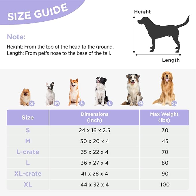 LE SURE Dog Beds Medium Size-Thick Shredded Chopped Foam Pet Bed Indoor with Removable Cover, Cute Modern Fuzzy Plush & Anti Slip Bottom, Purple